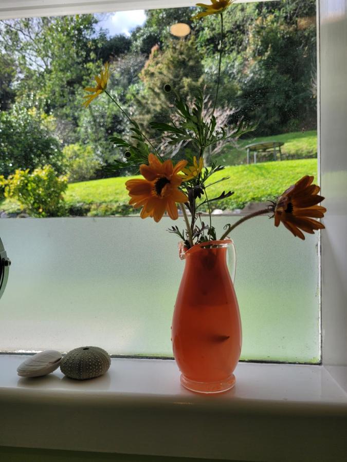 City Retreat Whangarei Extérieur photo